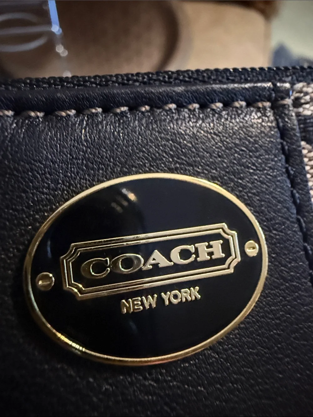Coach mini skinny